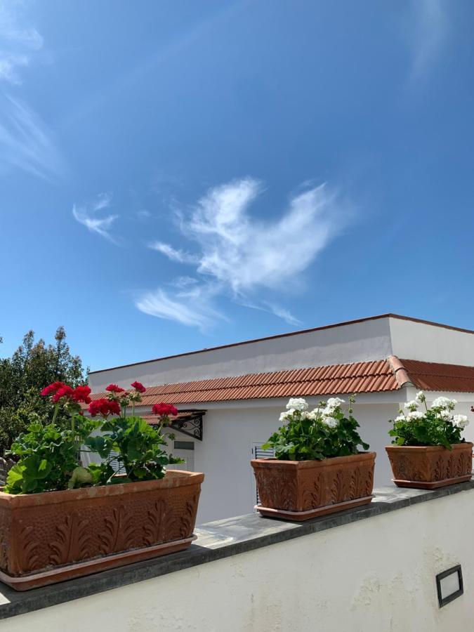 La Casa Del Sole Bed & Breakfast Vico Equense Exterior foto