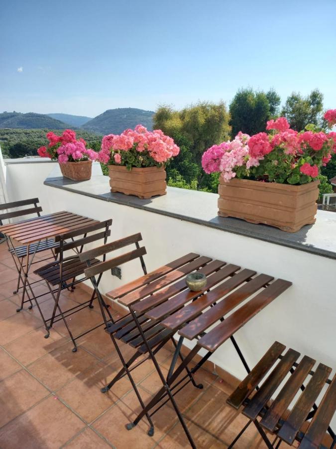 La Casa Del Sole Bed & Breakfast Vico Equense Exterior foto